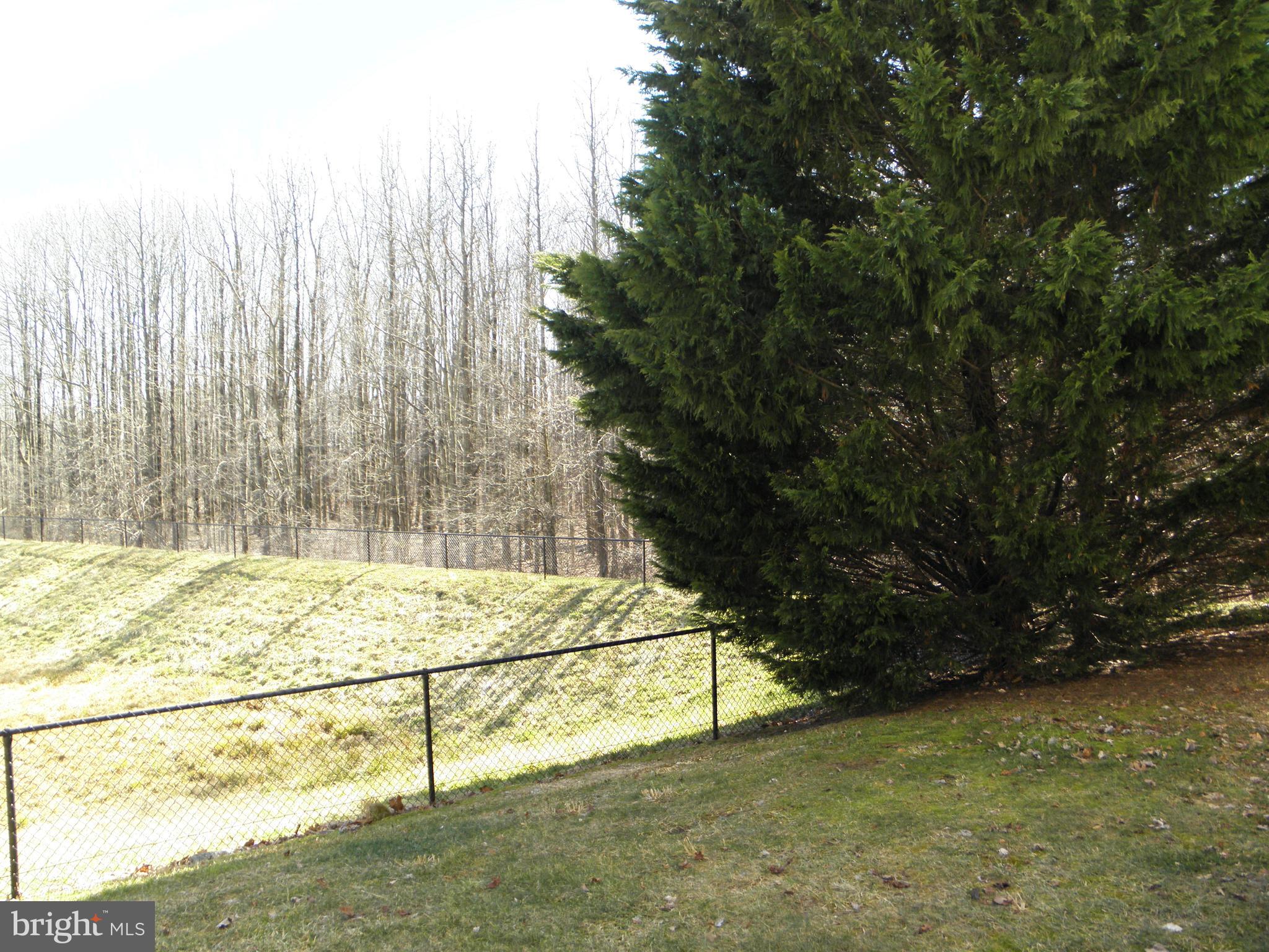 9613 Haven Farm Road, Unit B Perry Hall, MD 21128 - Photo 22 of 25 Peaceful View off Patio Backs to Trees