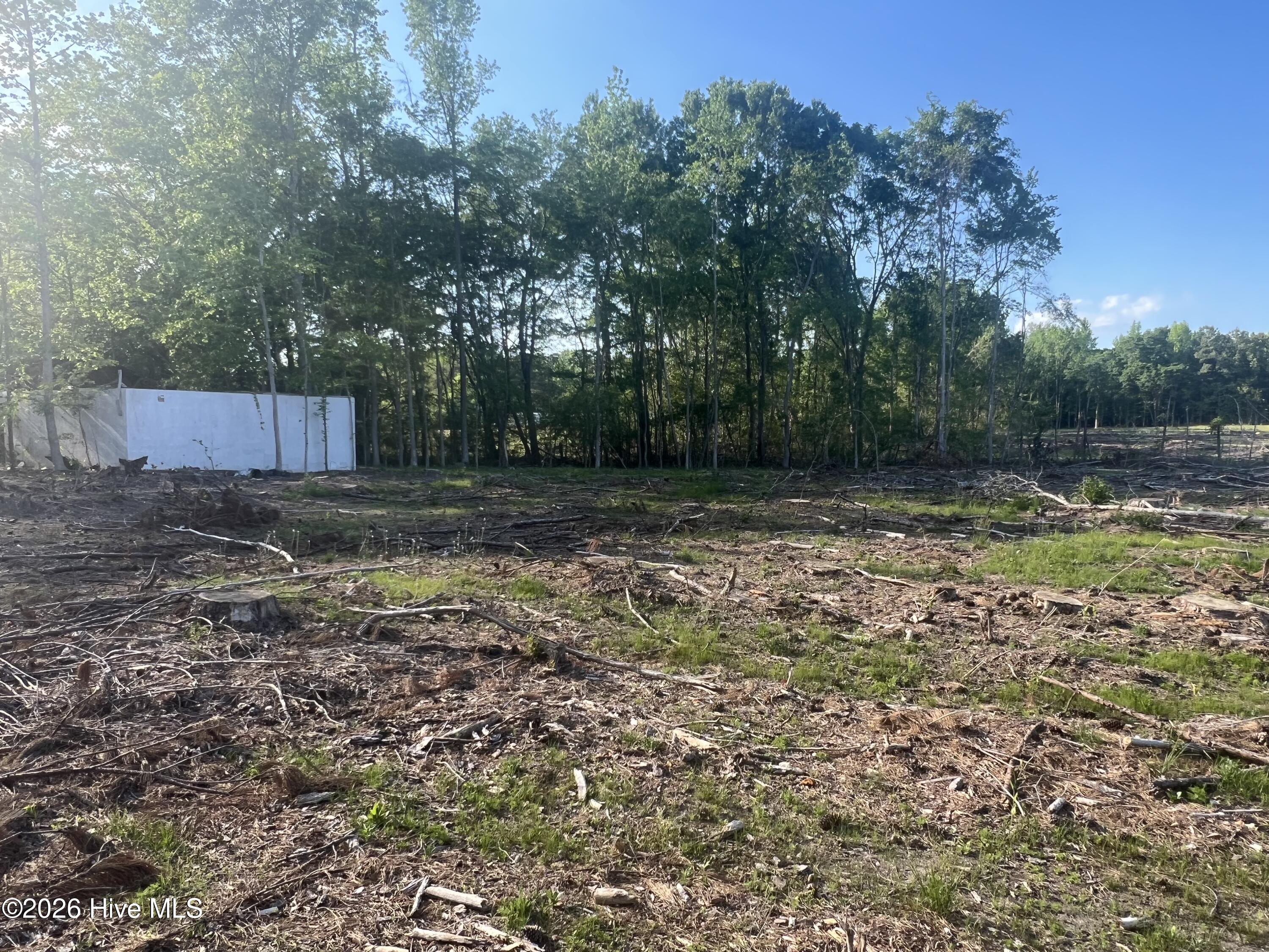 2413 Tanner Road Rocky Mount, NC 27801 - Photo 8 of 19 IMG_6049