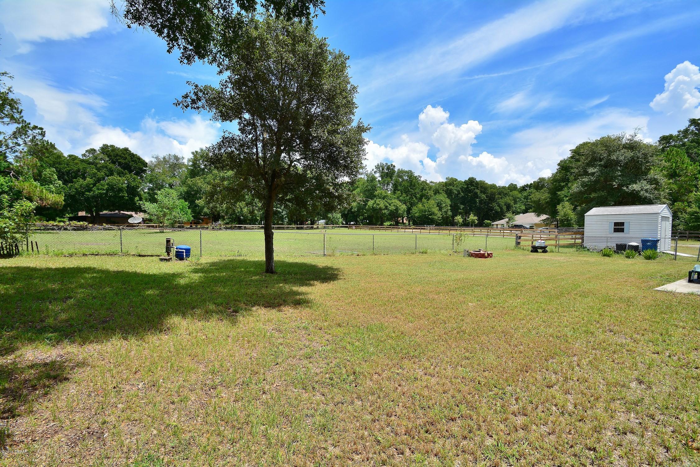 1371 Tall Oaks Road DeLand, FL 32720 - Photo 18 of 19 Rear_Yard