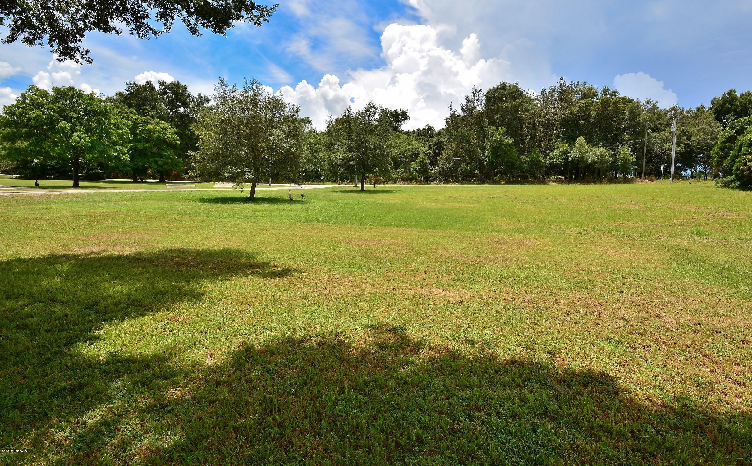 1371 Tall Oaks Road DeLand, FL 32720 - Photo 2 of 19 Front_Yard