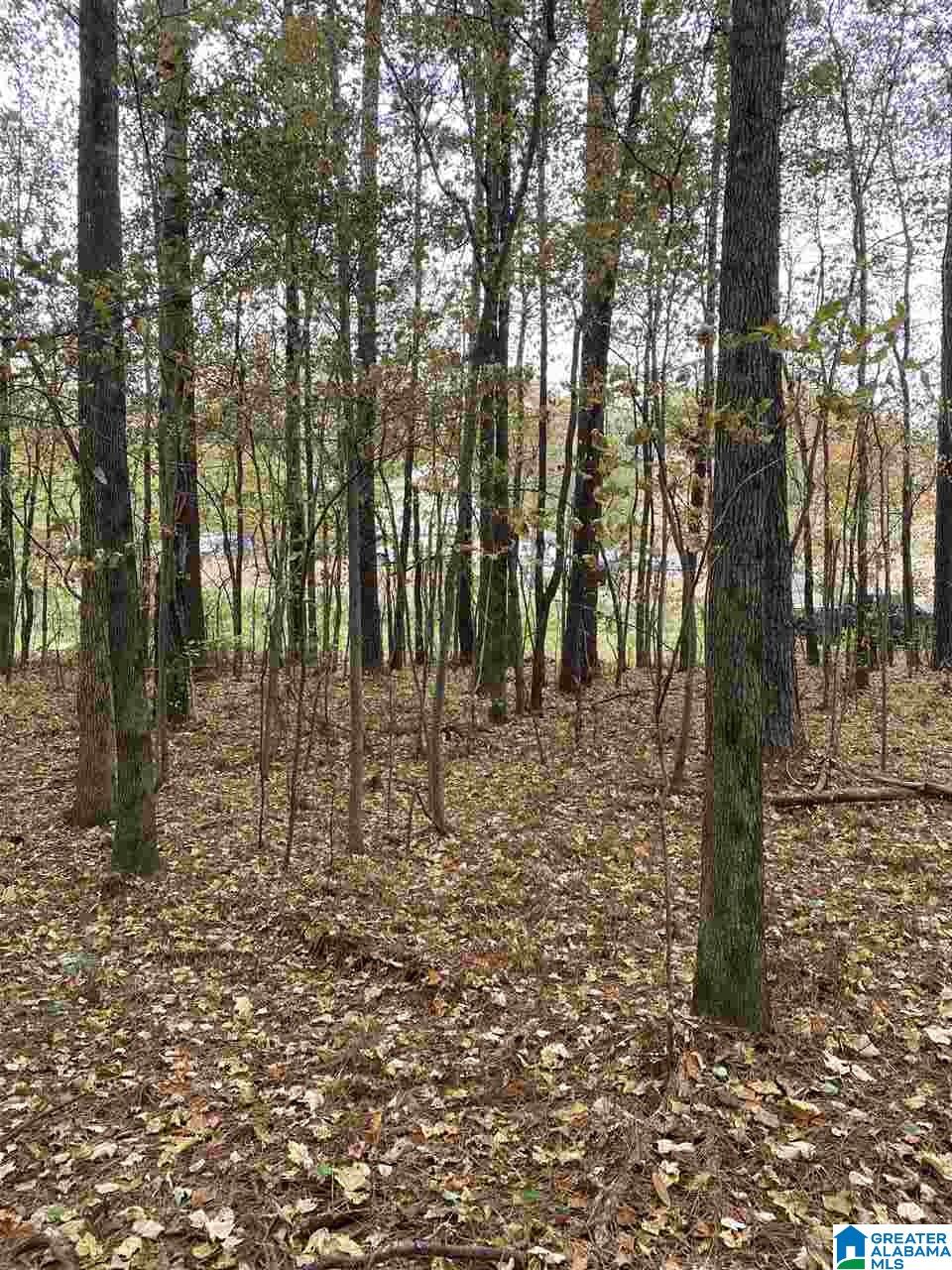 1 Highway 216, Unit 1 McCalla, AL 35111 - Photo 7 of 8