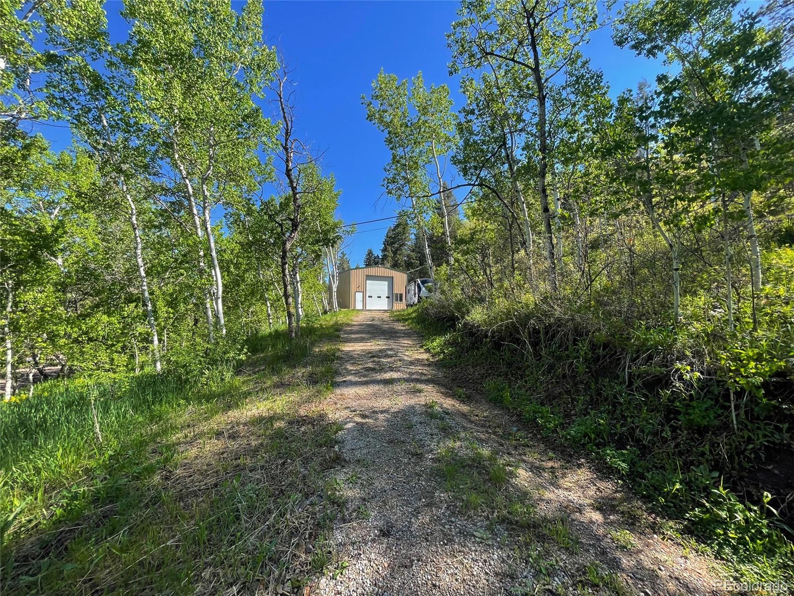 Lot 2 South Maxwell Hill Road Littleton, CO 80127 - Photo 12 of 29 a view of a yard with plants and a trees