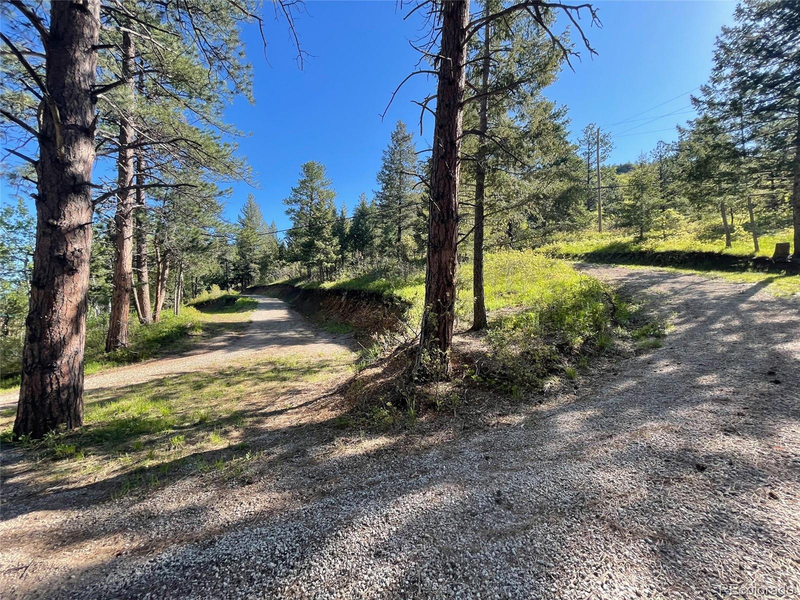 Lot 2 South Maxwell Hill Road Littleton, CO 80127 - Photo 16 of 29 a view of a yard with plants and trees