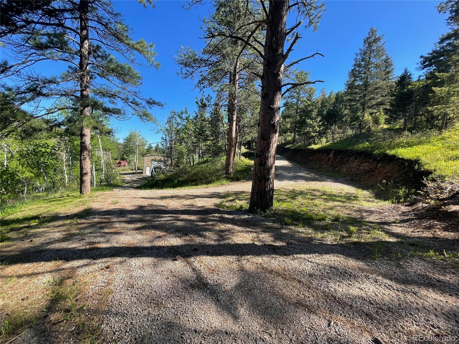 Lot 2 South Maxwell Hill Road Littleton, CO 80127 - Photo 18 of 29 a view of a yard with a tree