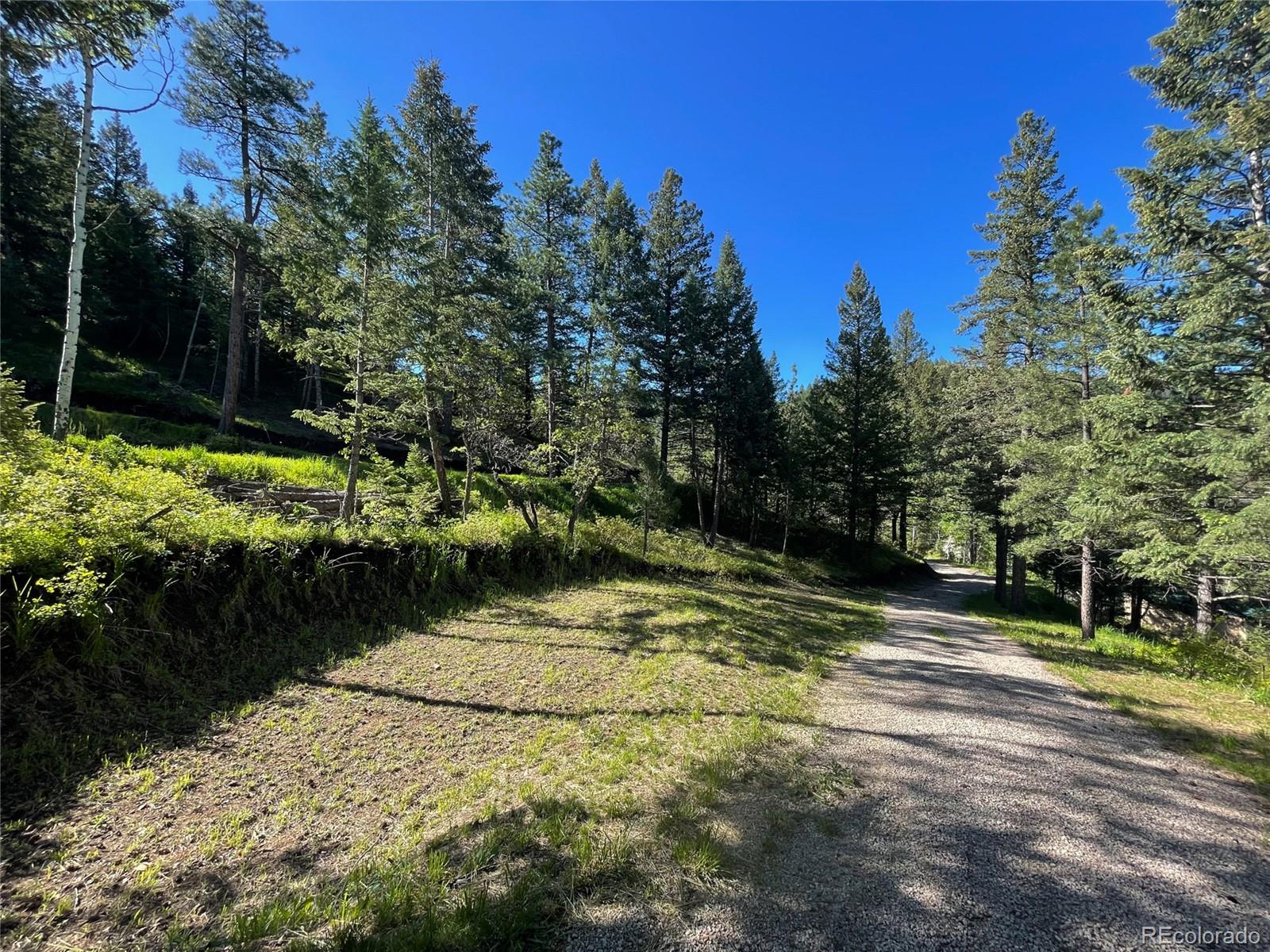 Lot 2 South Maxwell Hill Road Littleton, CO 80127 - Photo 20 of 29 a view of a yard with plants and trees