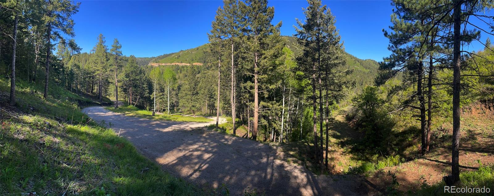 Lot 2 South Maxwell Hill Road Littleton, CO 80127 - Photo 21 of 29 a view of a yard with plants and trees
