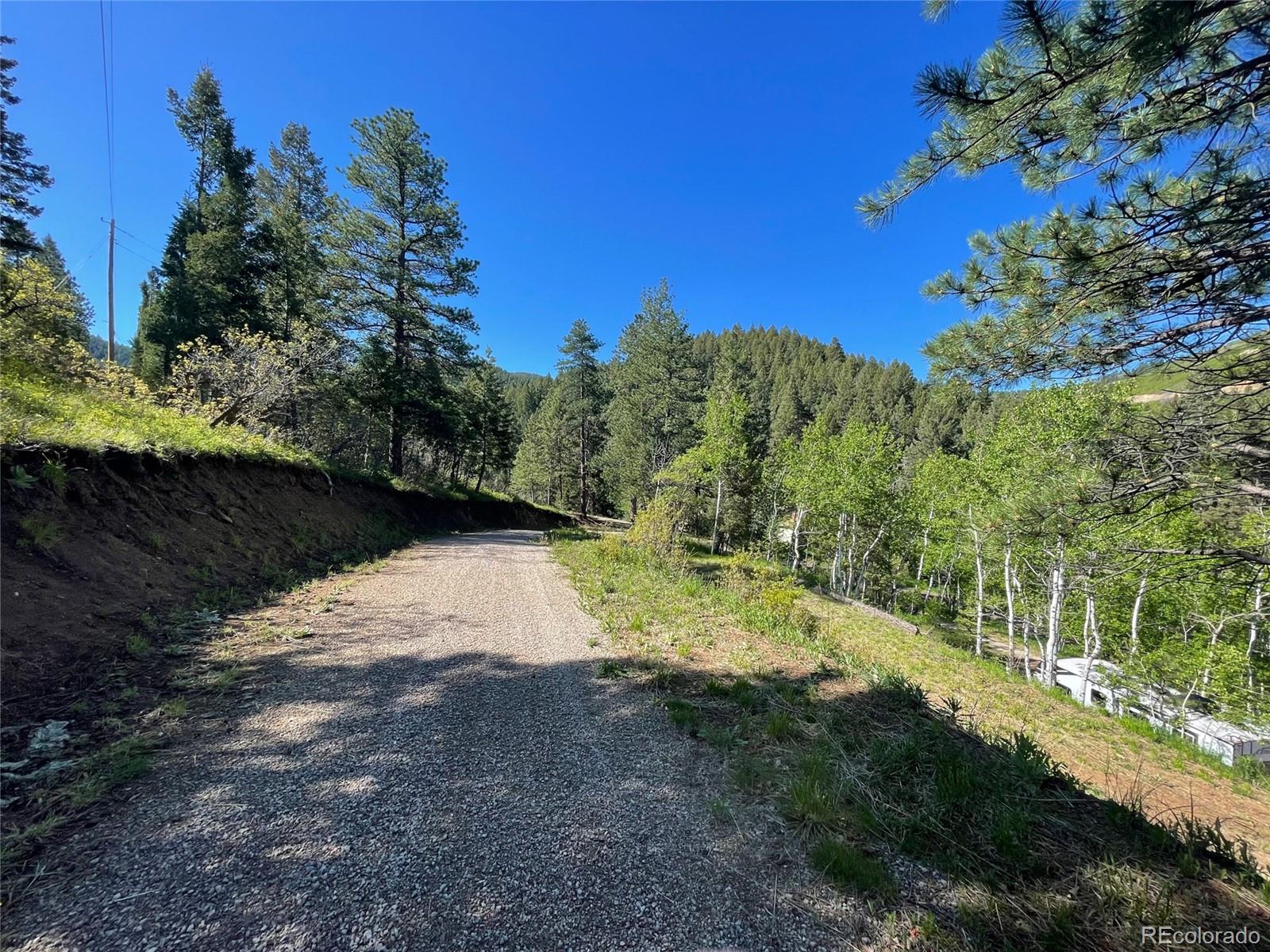 Lot 2 South Maxwell Hill Road Littleton, CO 80127 - Photo 24 of 29 a view of a yard with a tree