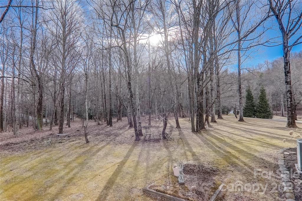 185 Butler Ridge Hendersonville, NC 28792 - Photo 42 of 45 Gallery Image 42