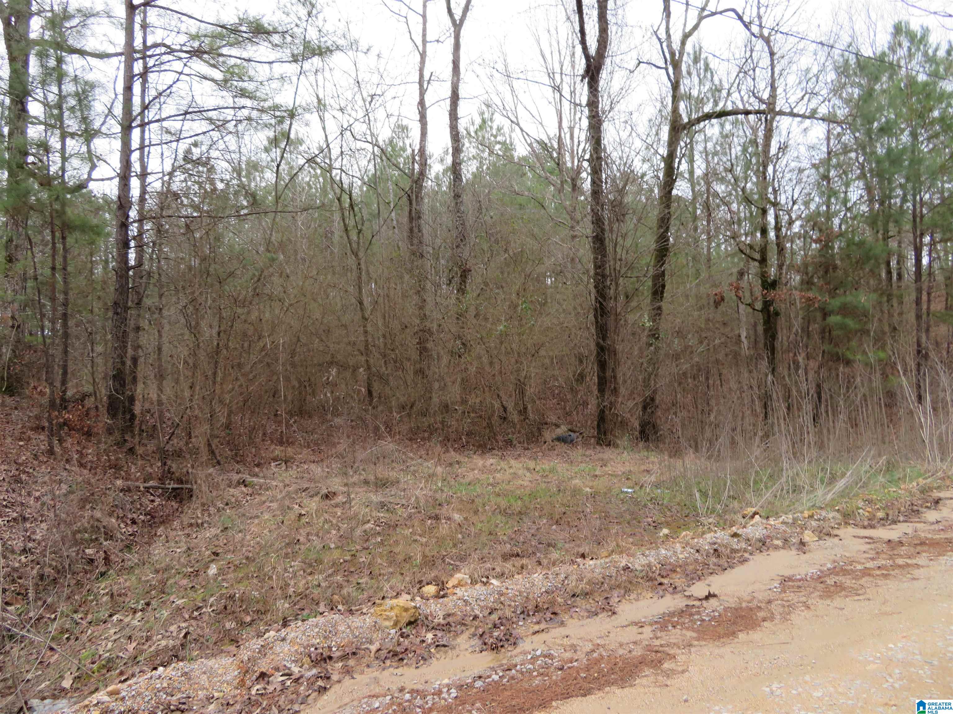 0 Cp Crk Road, Unit ACREAGE West Blocton, AL 35184 - Photo 2 of 6