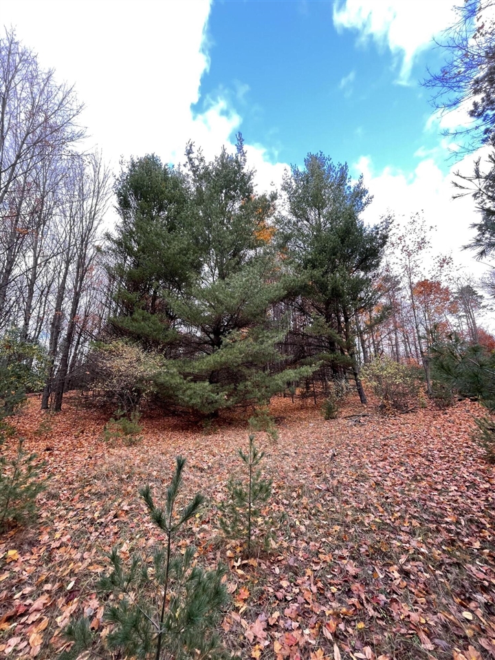 11 11 Mile Road Free Soil, MI 49411 - Photo 7 of 10