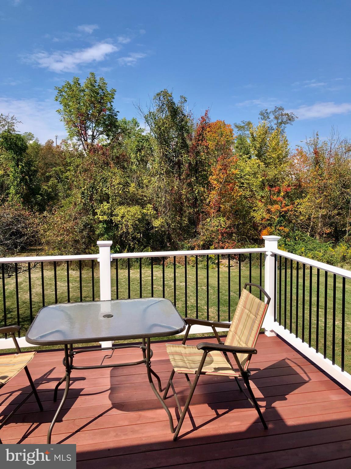 59 Steelman Marker Road Fairfield, PA 17320 - Photo 65 of 95 Master bedroom Balcony