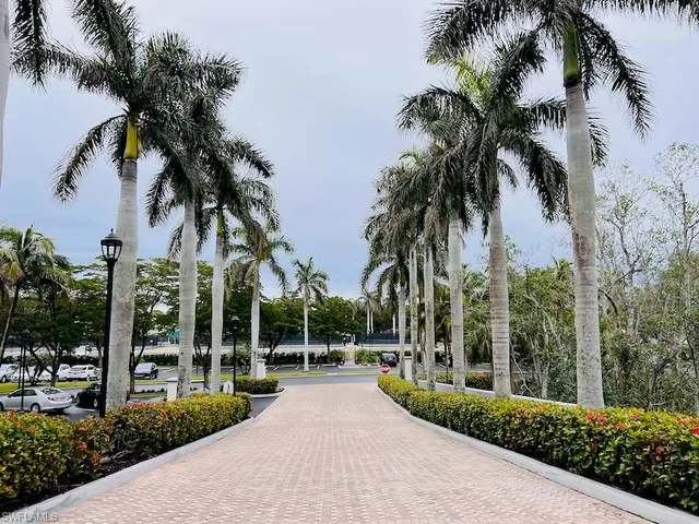 a view of a park with palm trees