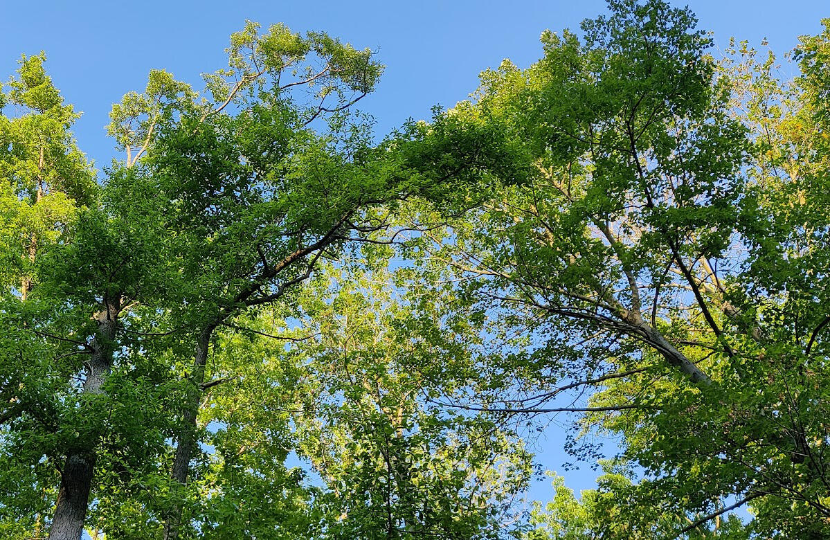 17824 West Spring Lake Road Spring Lake, MI 49456 - Photo 29 of 38 IMG_20210604_202258