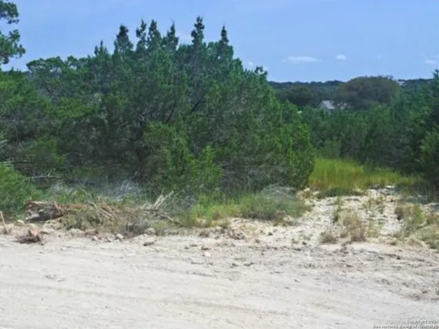 a view of a lake with a mountain