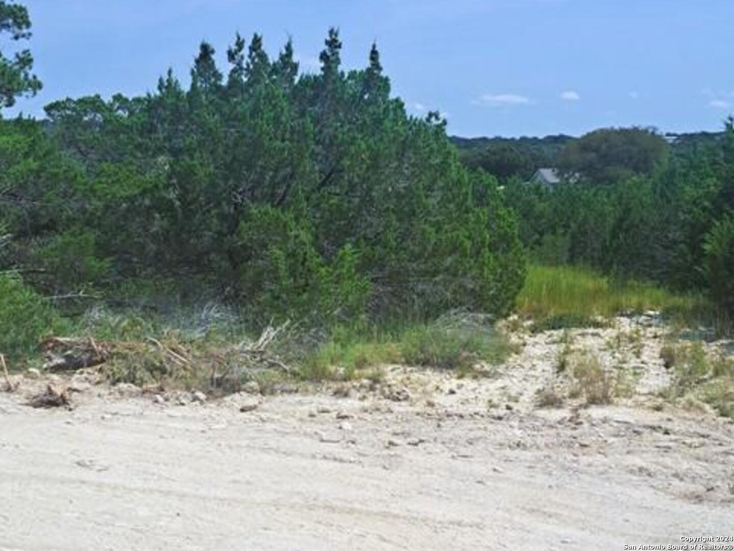 0 Ken Wayne Drive Spring Branch, TX 78070 - Photo 1 of 4 a view of a lake with a mountain