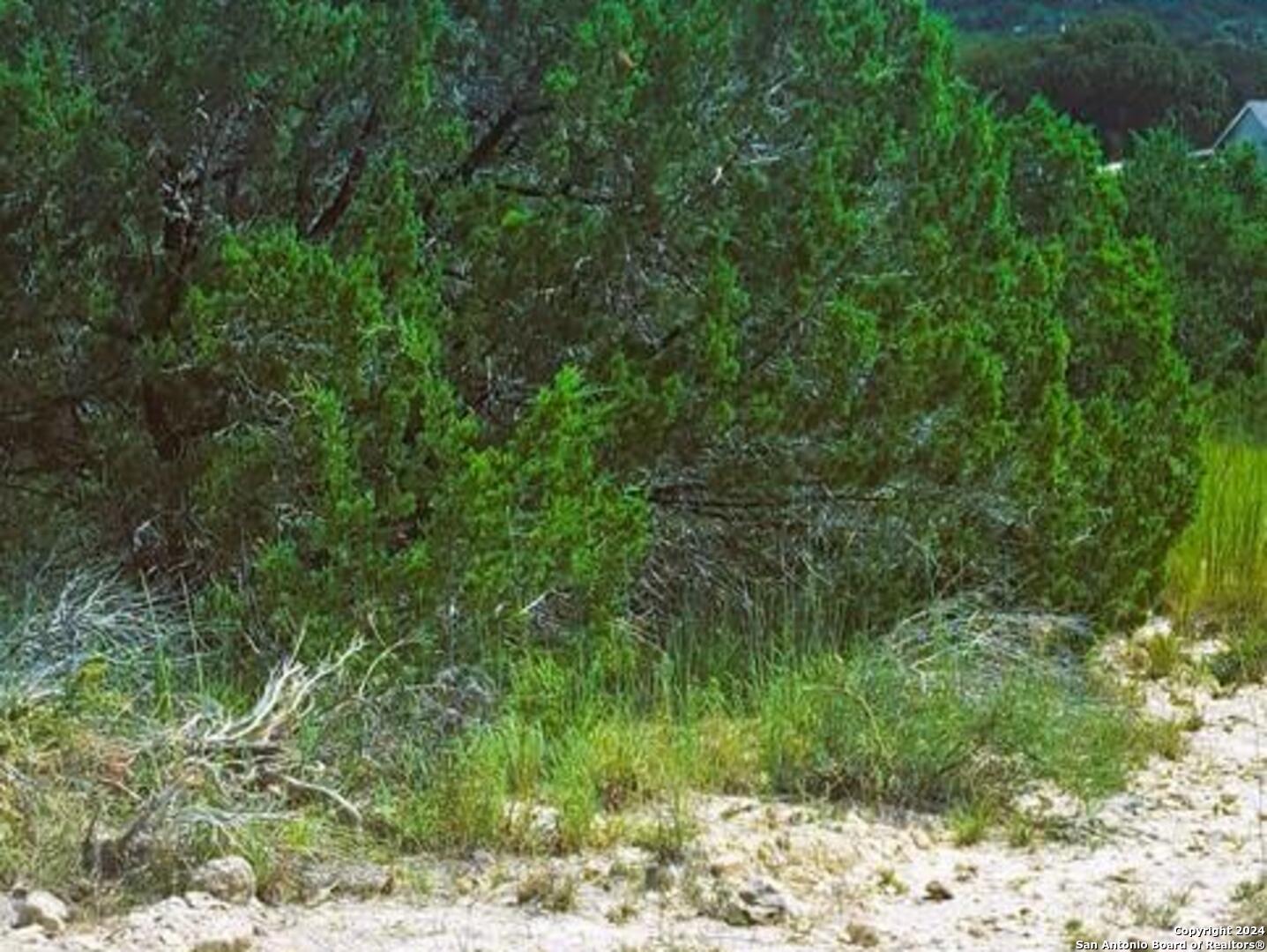0 Ken Wayne Drive Spring Branch, TX 78070 - Photo 2 of 4 a view of a forest