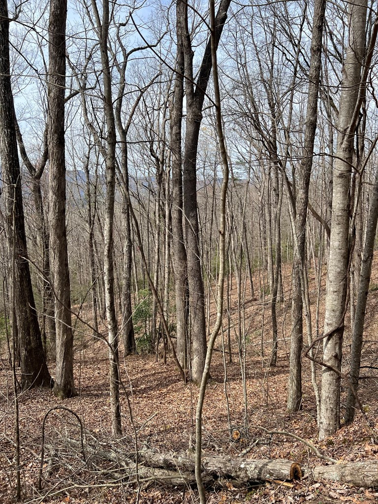 0 Laurel Drive Marble, NC 28905 - Photo 42 of 42