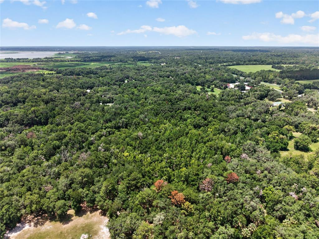 5725 Northwest 219th Street Road Micanopy, FL 32667 - Photo 10 of 17
