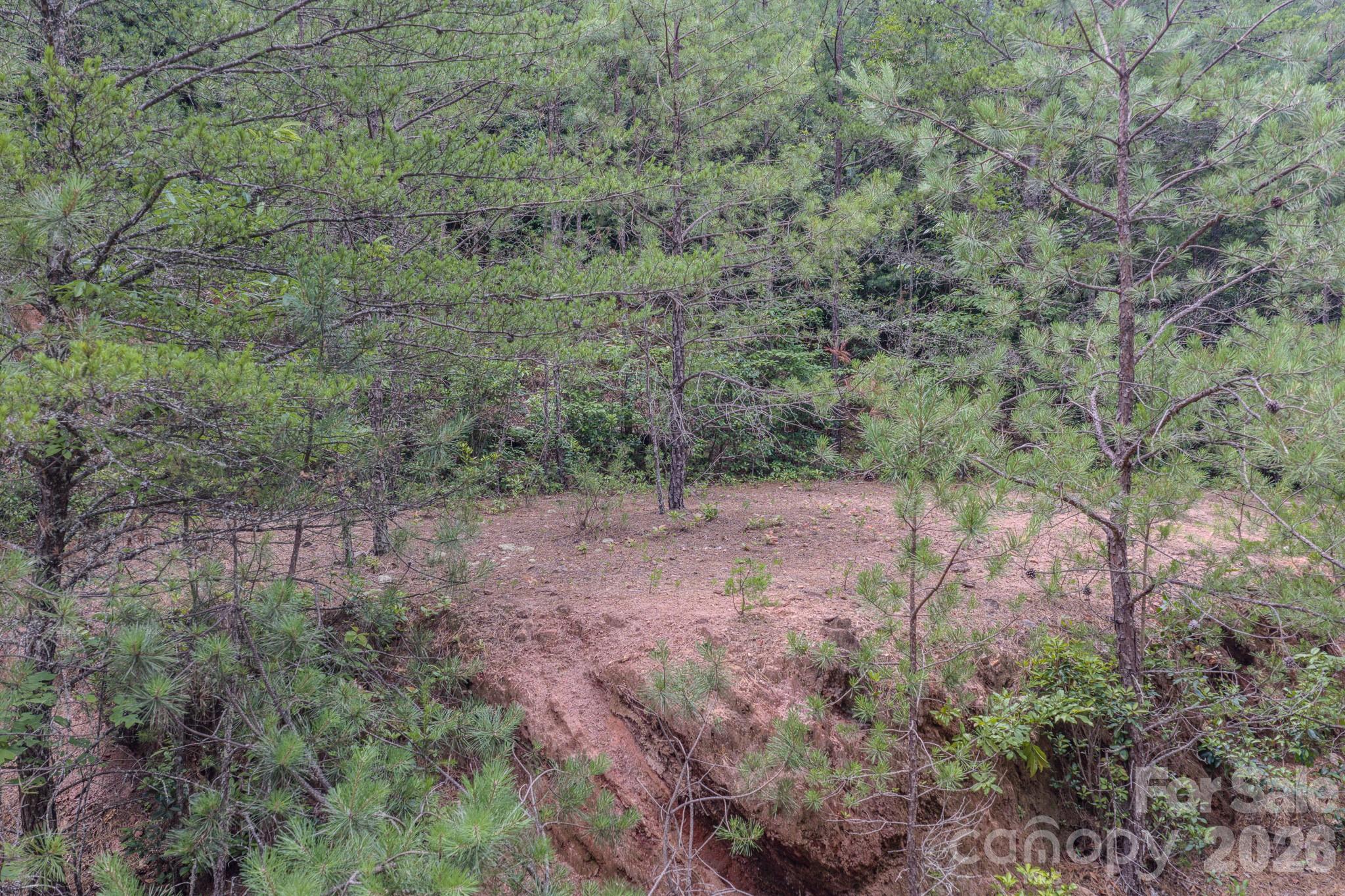 35 Coweeta Ridge Otto, NC 28763 - Photo 45 of 48