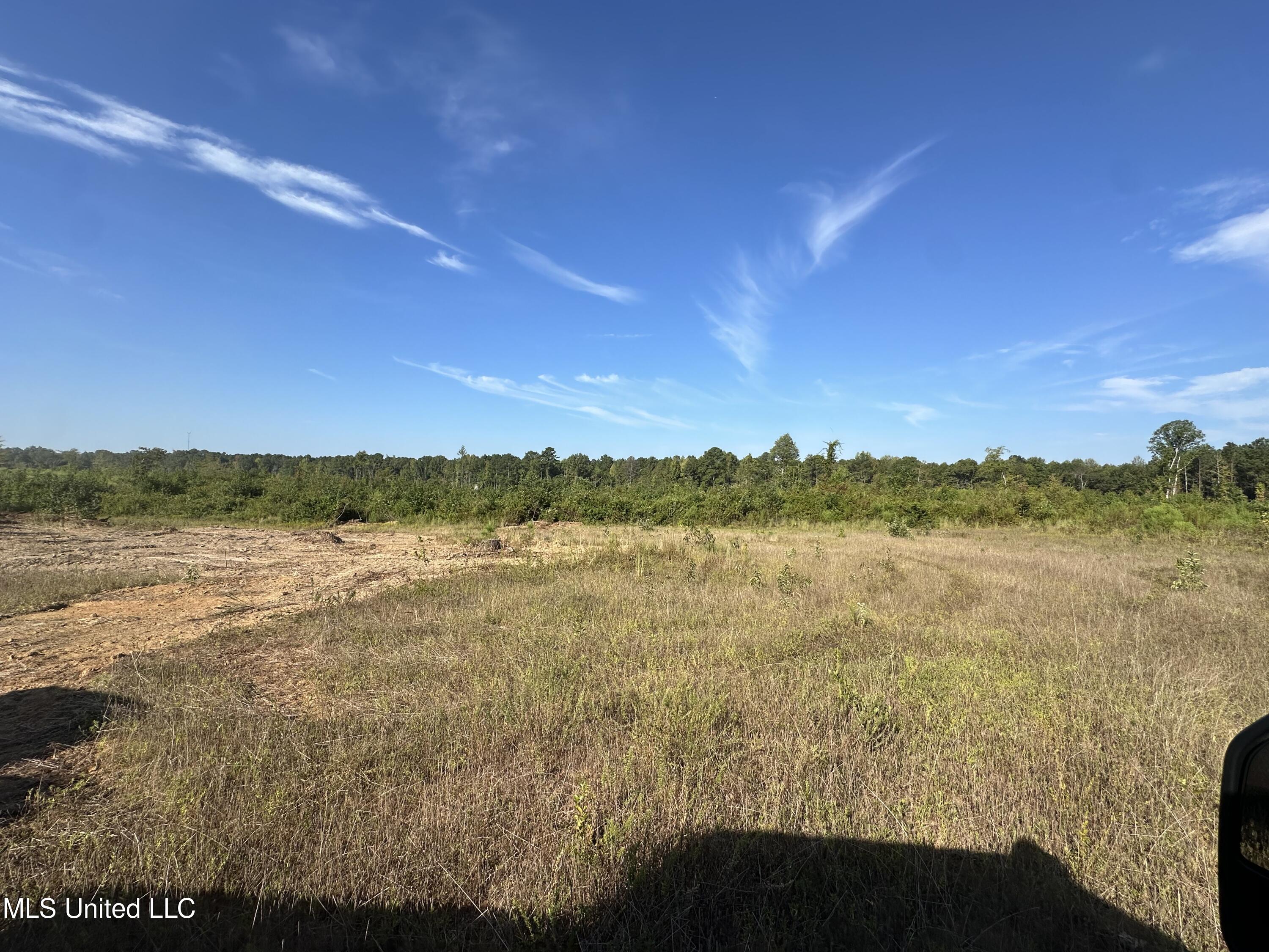 403 Mansell Road Camden, MS 39045 - Photo 3 of 13 IMG_9398