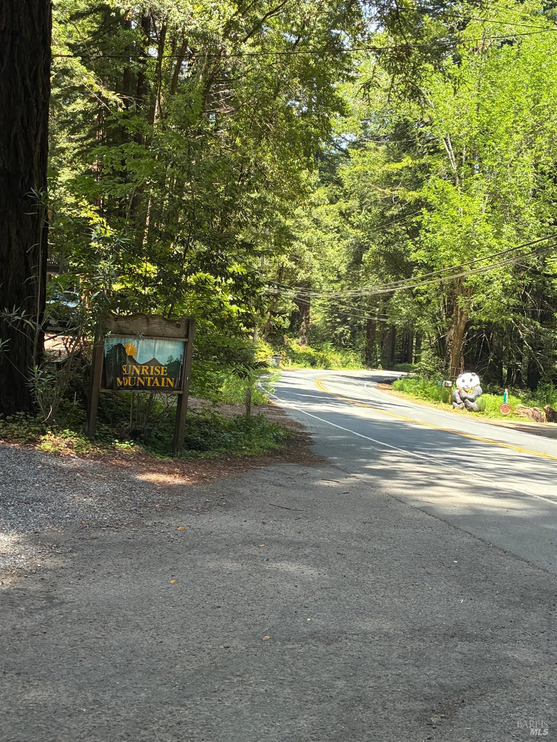 30 Sunrise Mountain Road Cazadero, CA 95421 - Photo 7 of 12 a view of yard with tree in back