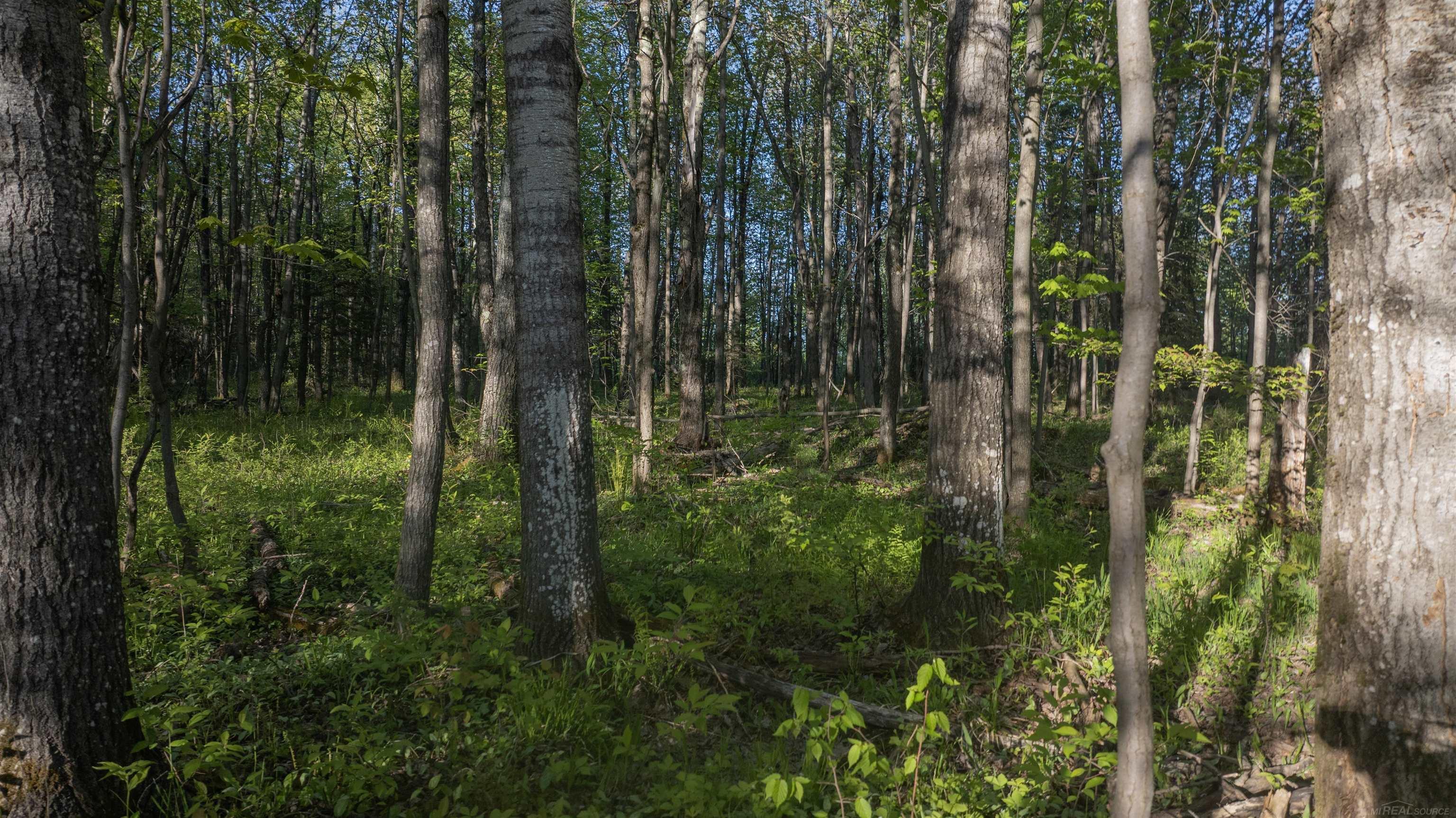6161 West Harding Road Ironwood, MI 49938 - Photo 13 of 34 Gallery Image 13
