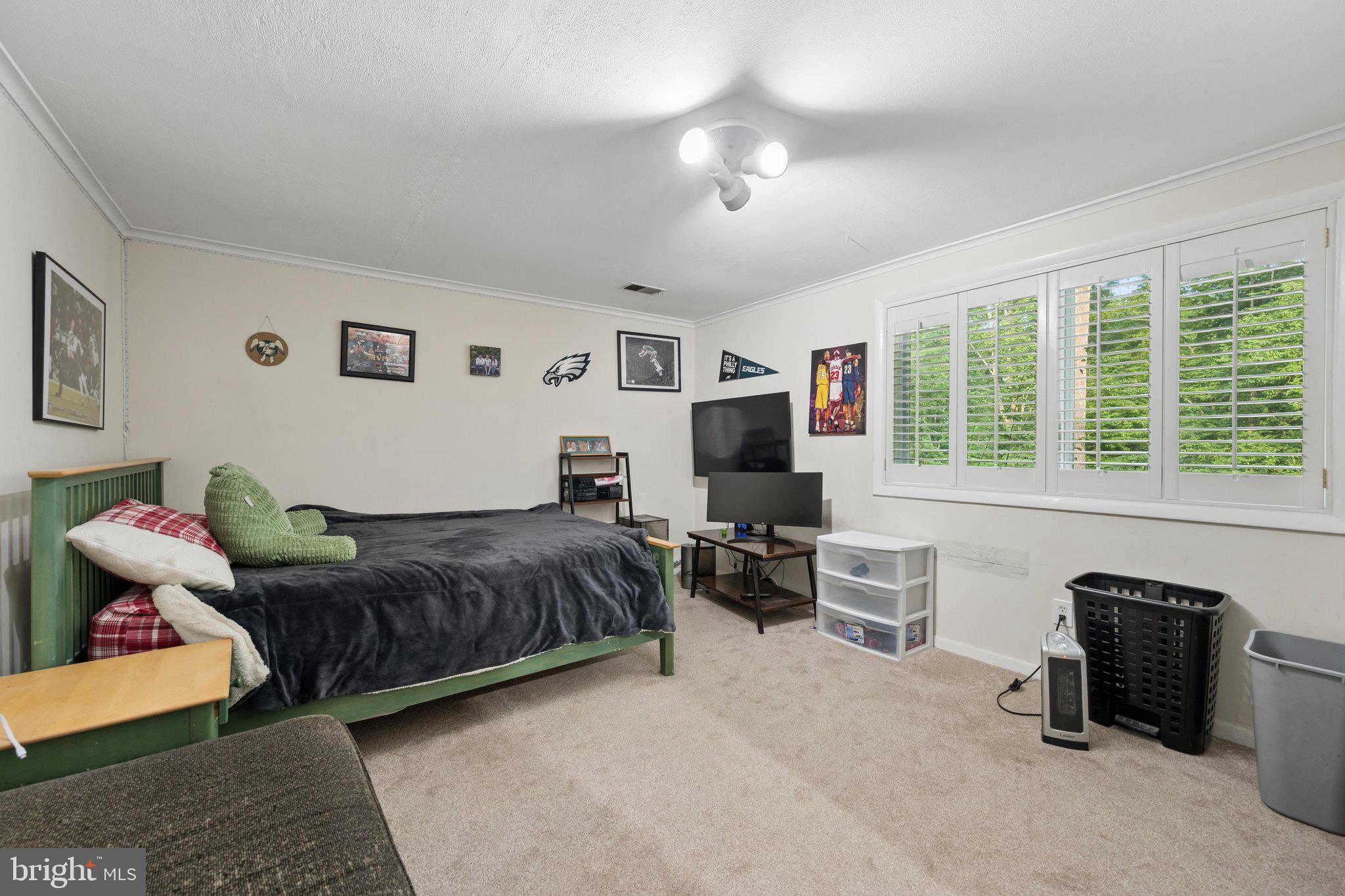 14007 Manorvale Road Rockville, MD 20853 - Photo 36 of 65 Lower Bedroom