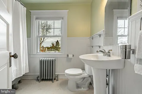 a view of backyard with large trees and wooden fence