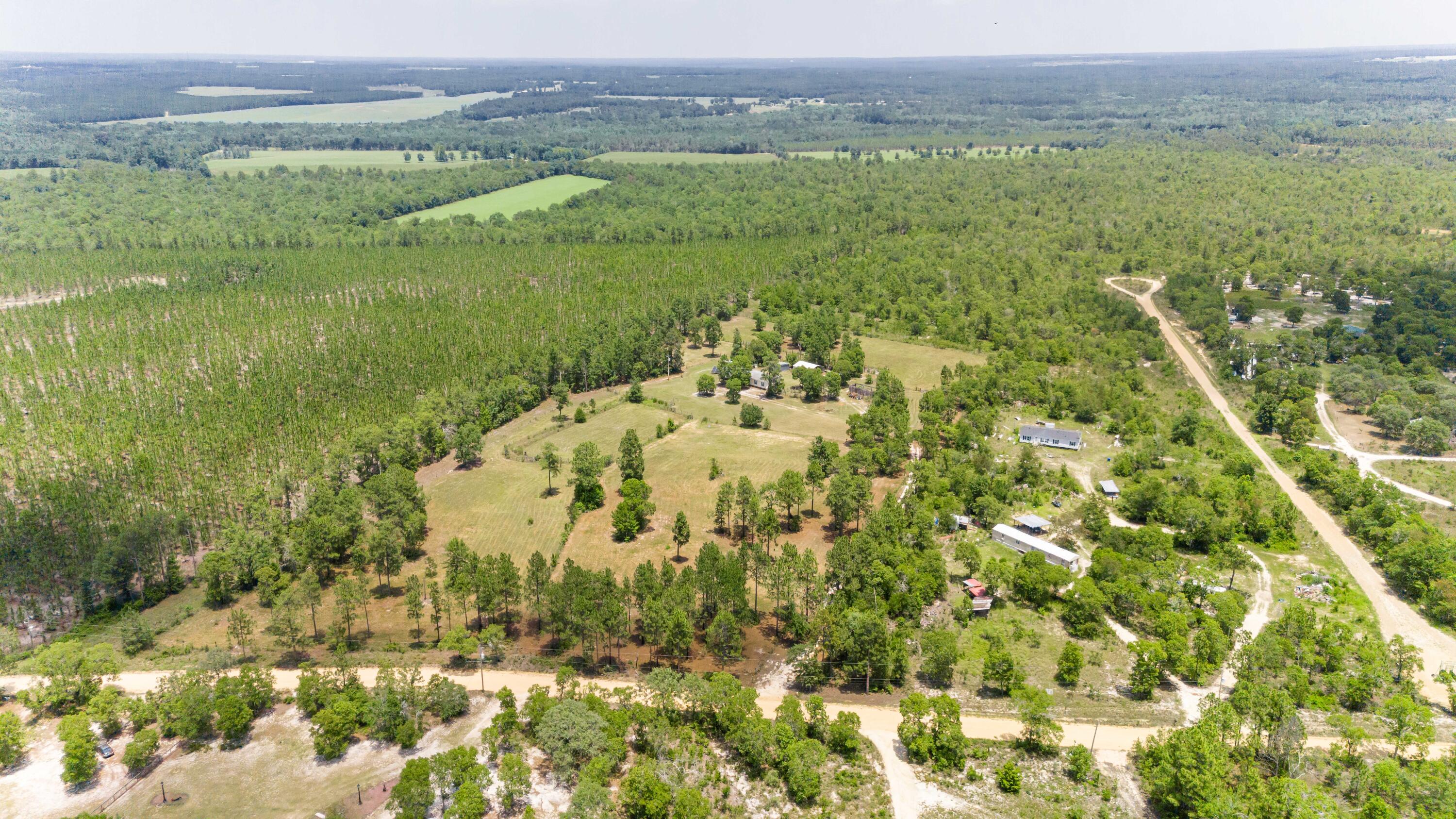 798 Big Branch Road Wagener, SC 29164 - Photo 37 of 63