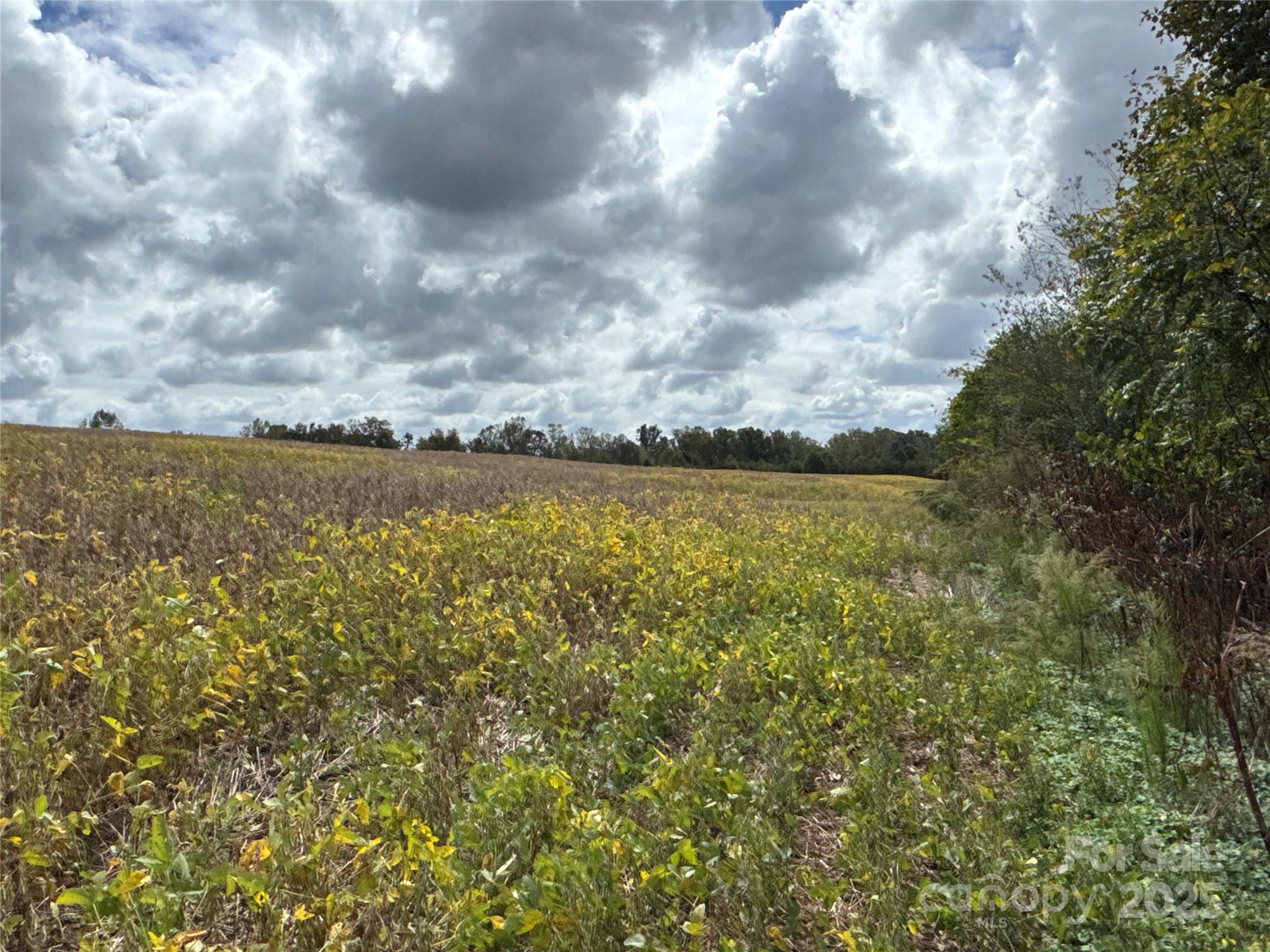 1642 Rehobeth Church Road Shelby, NC 28150 - Photo 11 of 13