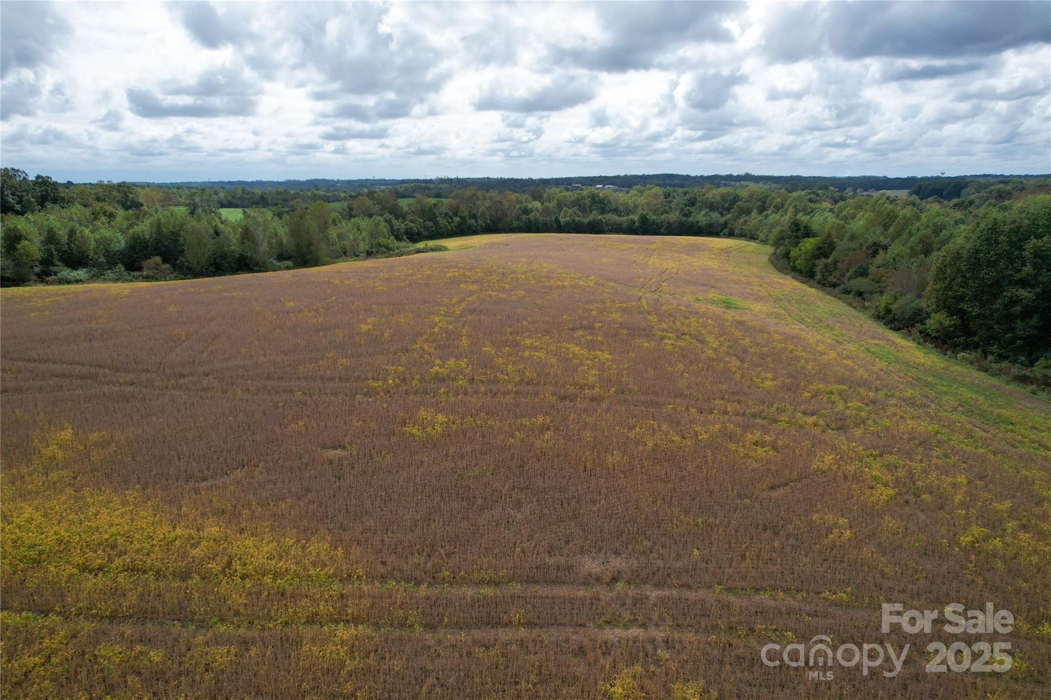 1642 Rehobeth Church Road Shelby, NC 28150 - Photo 3 of 13 a view of a field with a yard
