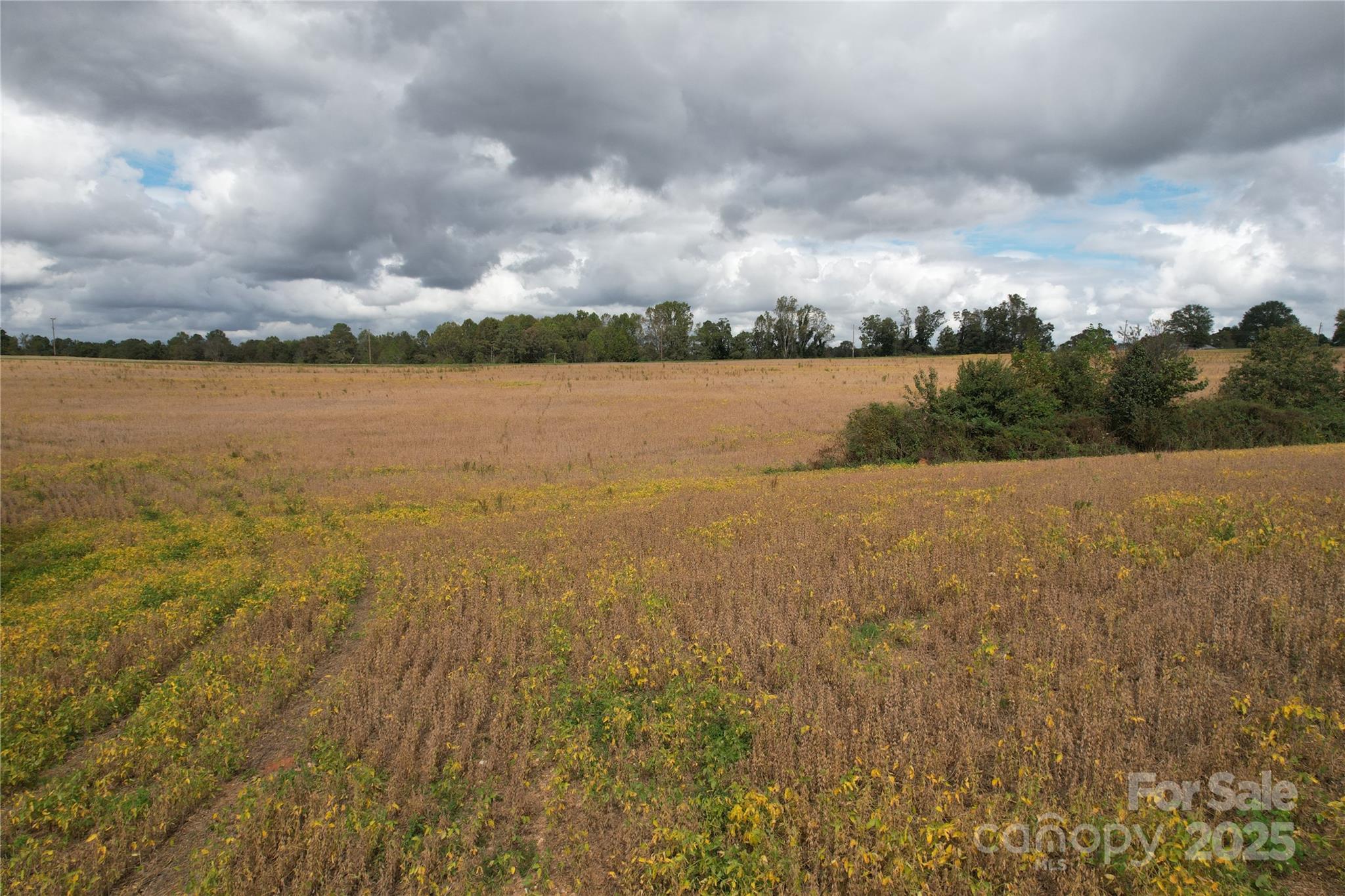 1642 Rehobeth Church Road Shelby, NC 28150 - Photo 5 of 13 a view of lake