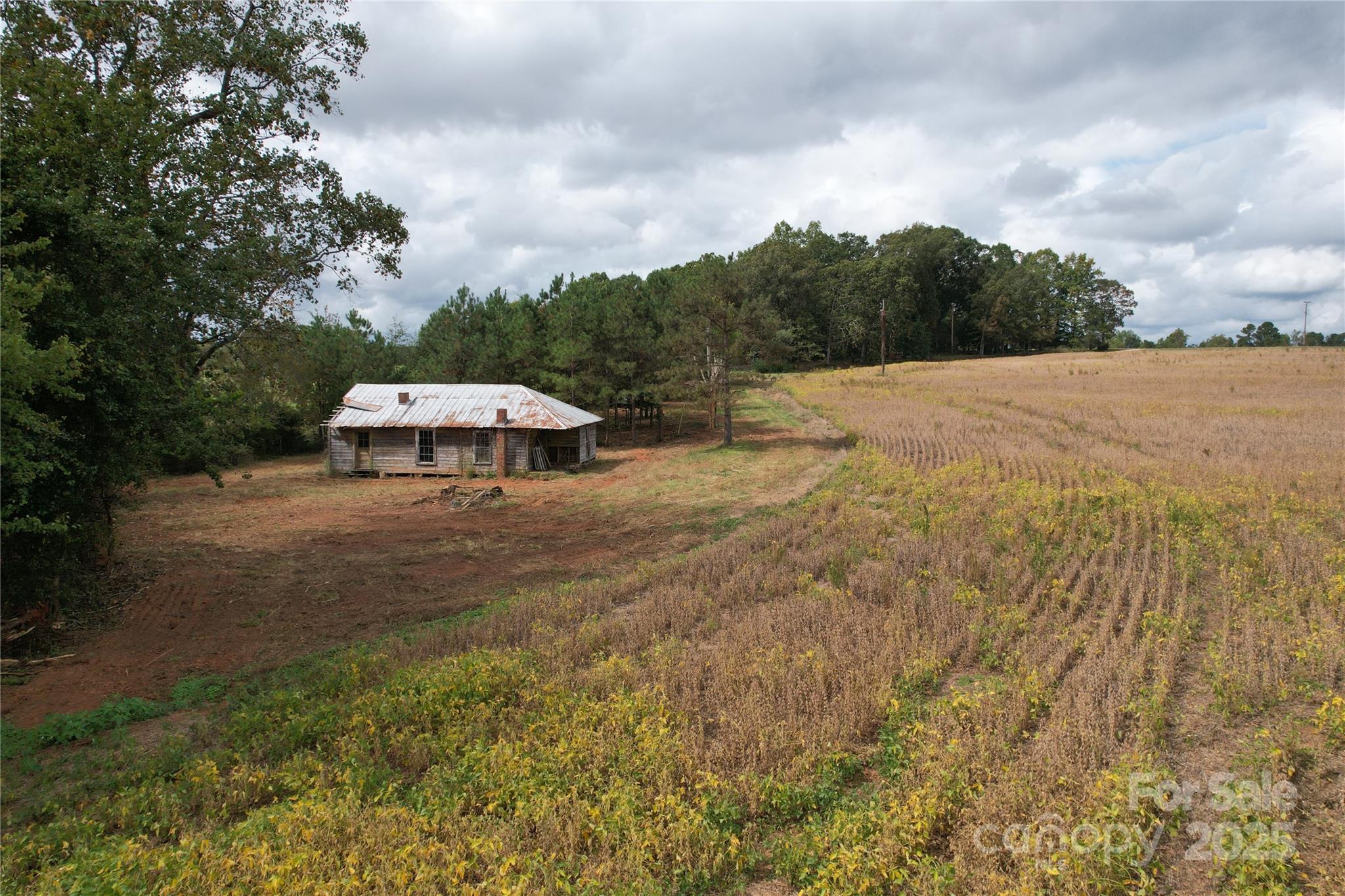 1642 Rehobeth Church Road Shelby, NC 28150 - Photo 6 of 13 a backyard of a house with lots of green space