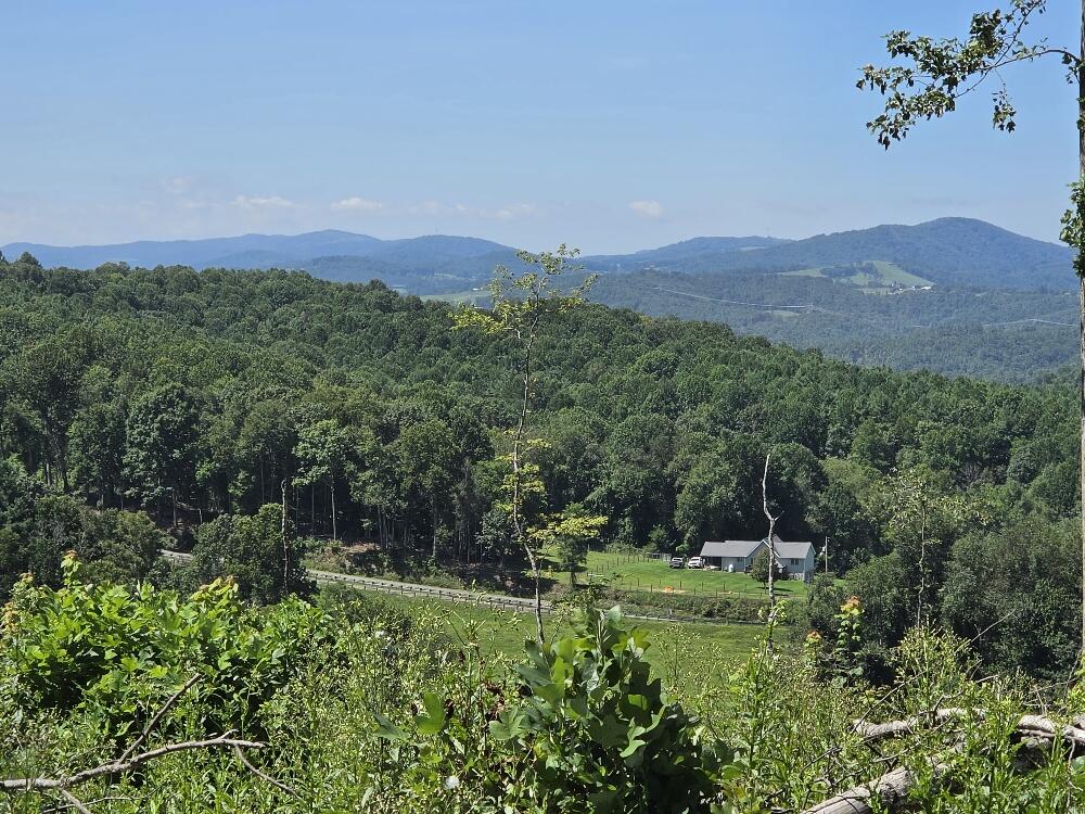 Tbd Savannah Road Galax, VA 24333 - Photo 3 of 13 Gallery Image 3