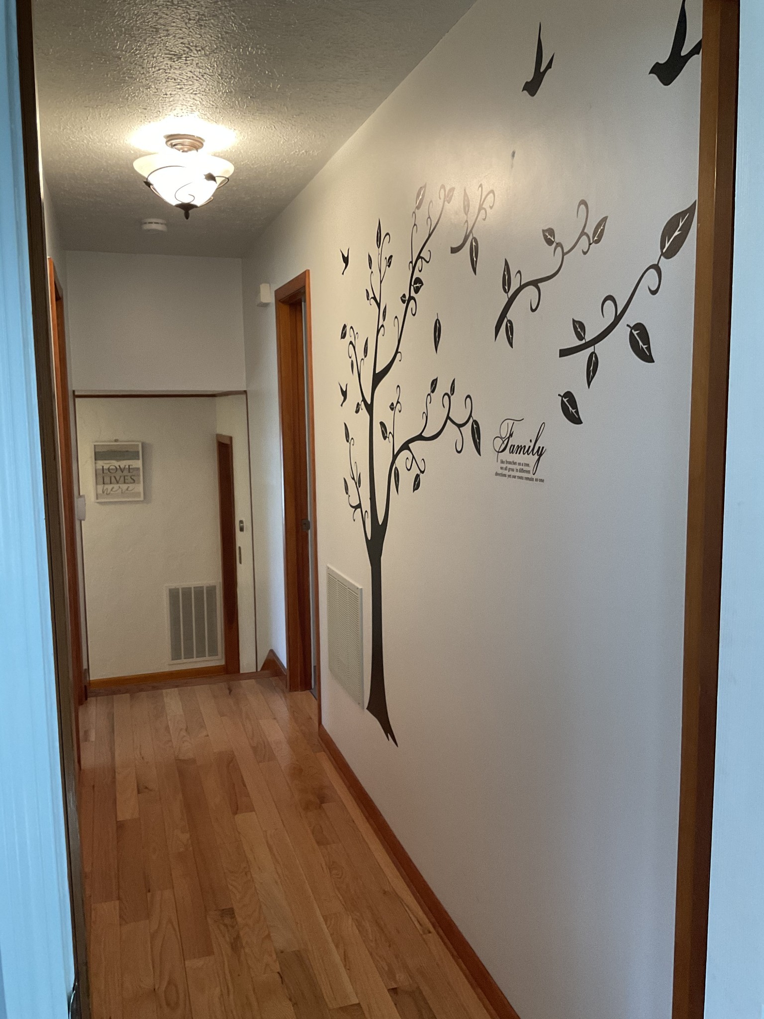 229 Black Road Dickson, TN 37055 - Photo 13 of 34 a view of entryway with wooden floor