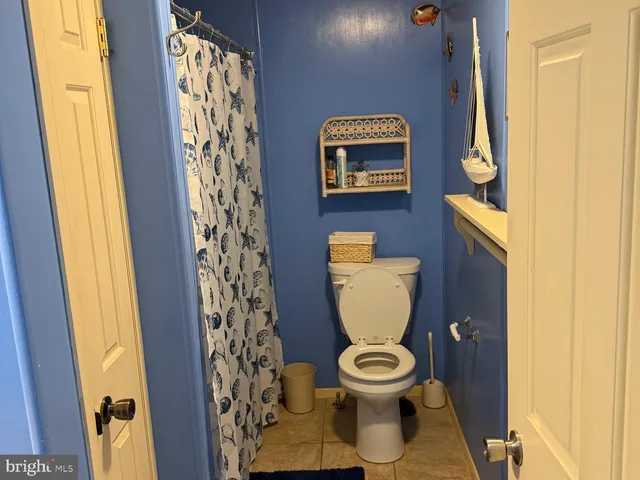 a white toilet sitting next to a shower curtain