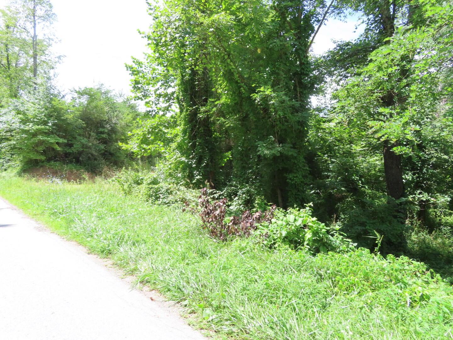 0 Petersburg Road Jackson, OH 45640 - Photo 10 of 16 0 Petersburg Rd