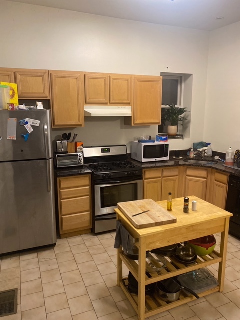 717 West Roscoe Street, Unit 1 Chicago, IL 60657 - Photo 19 of 20