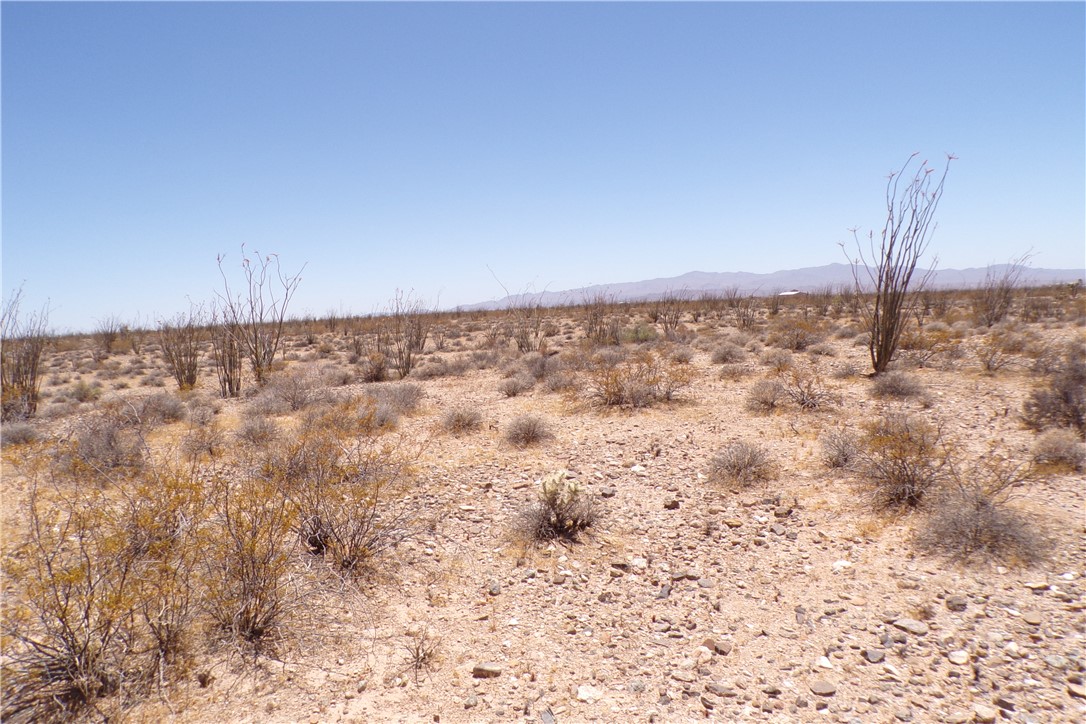 245-24-140 Ray Road Yucca, AZ 86438 - Photo 7 of 19 a view of an empty room