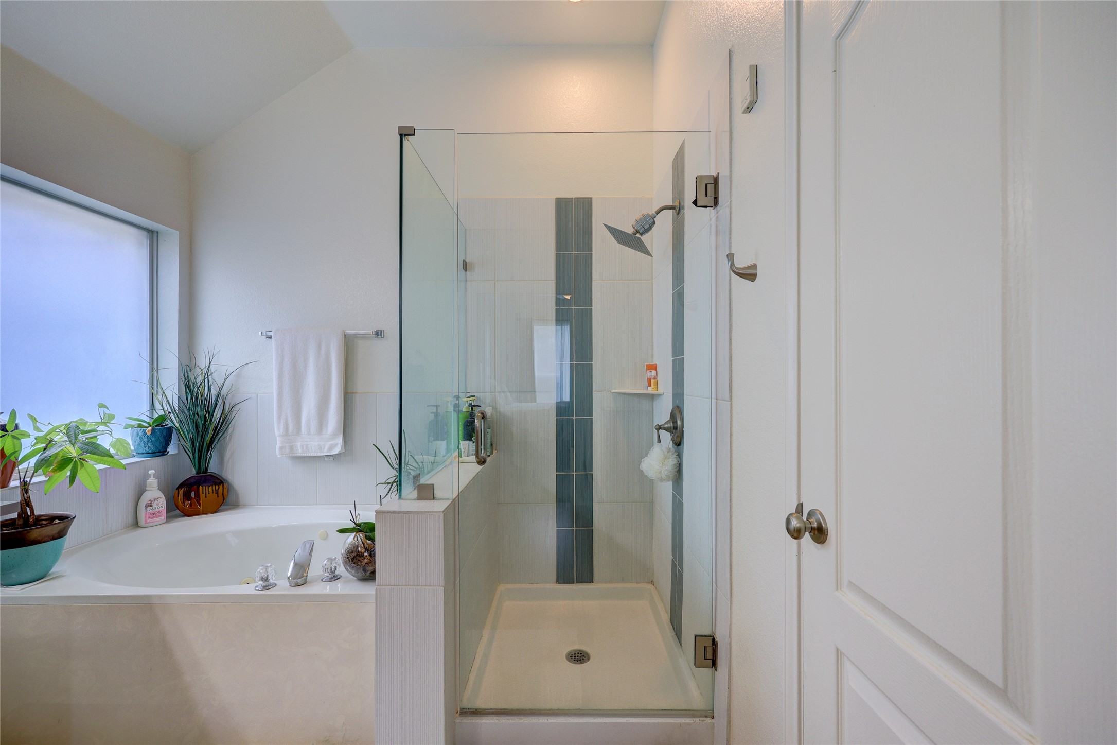 1819 Nelson Ranch Loop Cedar Park, TX 78613 - Photo 25 of 38 Walk in shower