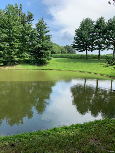 364 Hug Cemetery Road Pocahontas, IL 62275 - Photo 2 of 25 Gallery Image 2