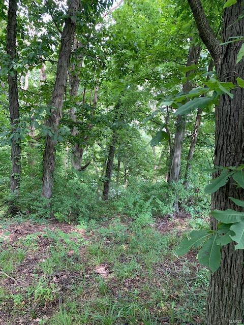 364 Hug Cemetery Road Pocahontas, IL 62275 - Photo 11 of 25 Gallery Image 11