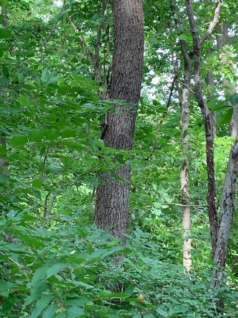 364 Hug Cemetery Road Pocahontas, IL 62275 - Photo 14 of 25 Gallery Image 14