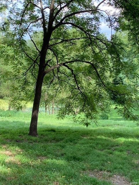 364 Hug Cemetery Road Pocahontas, IL 62275 - Photo 16 of 25 Gallery Image 16