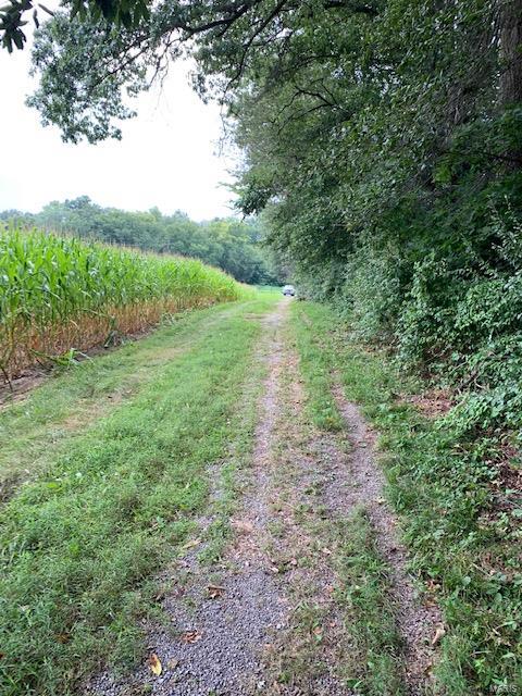 364 Hug Cemetery Road Pocahontas, IL 62275 - Photo 3 of 25 Gallery Image 3