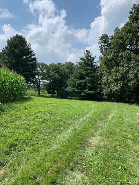 364 Hug Cemetery Road Pocahontas, IL 62275 - Photo 21 of 25 Gallery Image 21