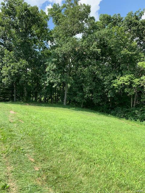 364 Hug Cemetery Road Pocahontas, IL 62275 - Photo 22 of 25 Gallery Image 22