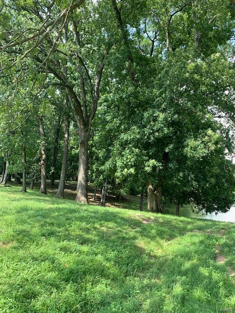 364 Hug Cemetery Road Pocahontas, IL 62275 - Photo 23 of 25 Gallery Image 23
