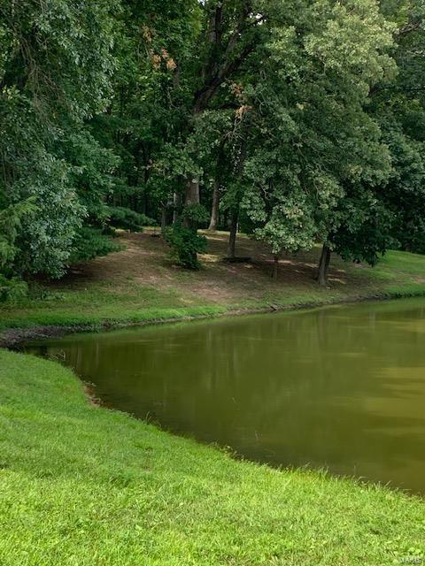 364 Hug Cemetery Road Pocahontas, IL 62275 - Photo 9 of 25 Gallery Image 9