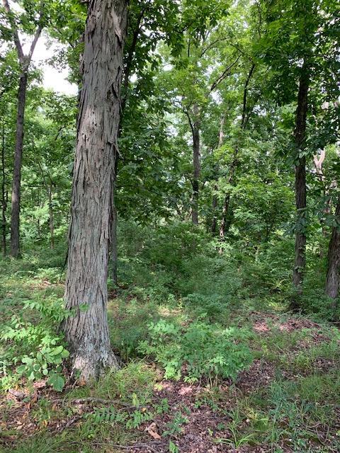 364 Hug Cemetery Road Pocahontas, IL 62275 - Photo 10 of 25 Gallery Image 10